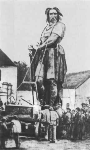 Иллюстрация к книге — Юлий Цезарь [i_018.jpg]