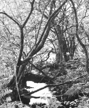 Иллюстрация к книге — Король Артур. Главная тайна Британии [i_022.jpg]