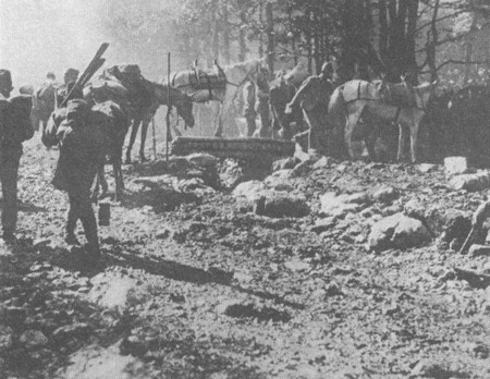 Иллюстрация к книге — Первая мировая в 211 эпизодах [i_047.jpg]