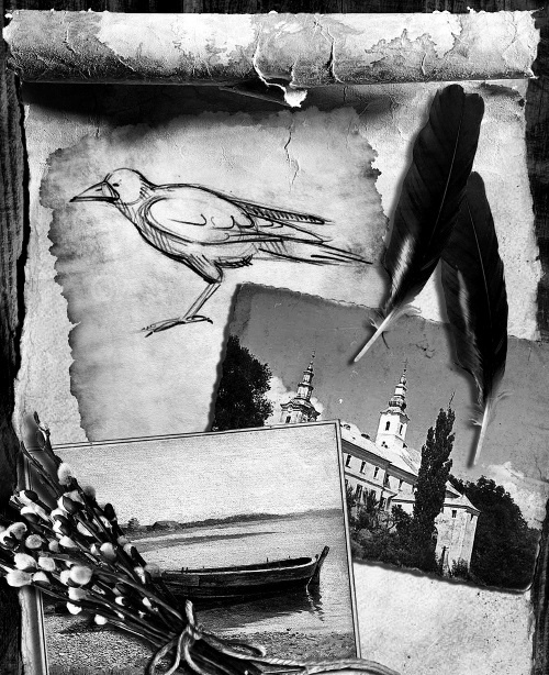 Иллюстрация к книге — Мафтей: книга, написанная сухим пером [i_003.jpg]