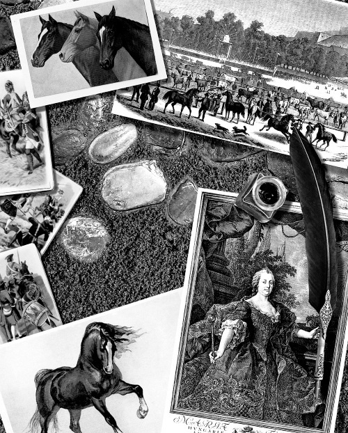 Иллюстрация к книге — Мафтей: книга, написанная сухим пером [i_007.jpg]