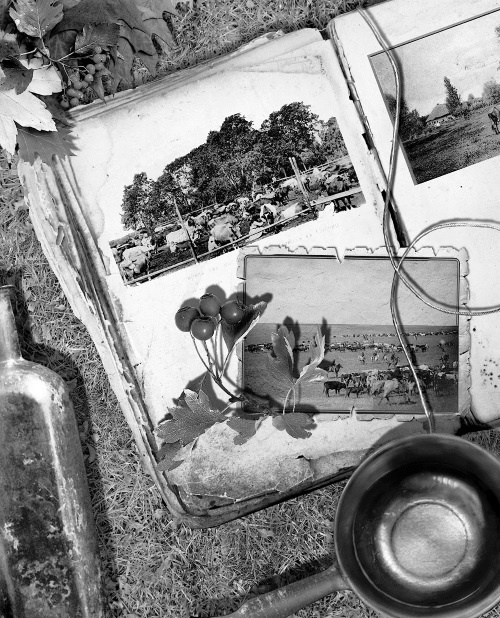 Иллюстрация к книге — Мафтей: книга, написанная сухим пером [i_014.jpg]