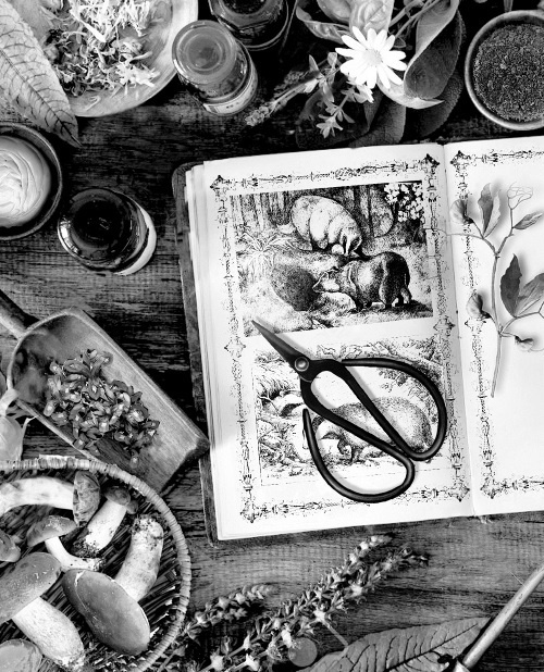 Иллюстрация к книге — Мафтей: книга, написанная сухим пером [i_015.jpg]