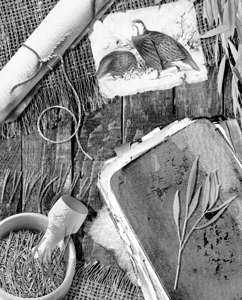 Иллюстрация к книге — Мафтей: книга, написанная сухим пером [i_018.jpg]