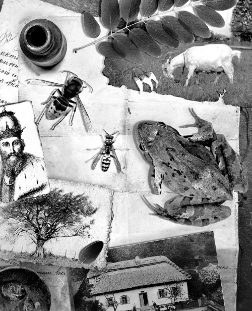 Иллюстрация к книге — Мафтей: книга, написанная сухим пером [i_035.jpg]