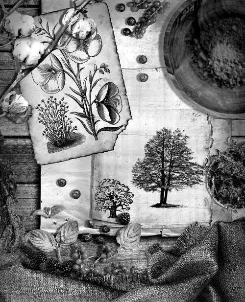 Иллюстрация к книге — Мафтей: книга, написанная сухим пером [i_036.jpg]