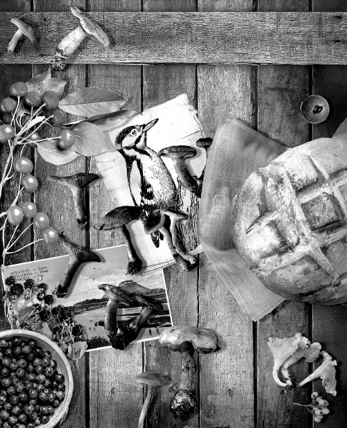 Иллюстрация к книге — Мафтей: книга, написанная сухим пером [i_038.jpg]