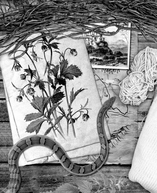 Иллюстрация к книге — Мафтей: книга, написанная сухим пером [i_041.jpg]