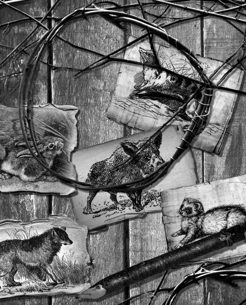 Иллюстрация к книге — Мафтей: книга, написанная сухим пером [i_044.jpg]