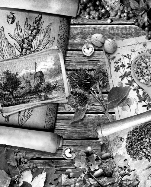 Иллюстрация к книге — Мафтей: книга, написанная сухим пером [i_045.jpg]