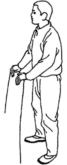 Иллюстрация к книге — Цигун для начинающих [i_012.jpg]