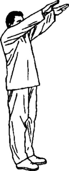 Иллюстрация к книге — Цигун для начинающих [i_017.jpg]