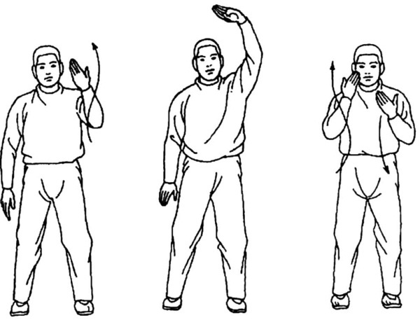 Иллюстрация к книге — Цигун для начинающих [i_025.jpg]