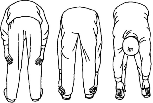 Иллюстрация к книге — Цигун для начинающих [i_030.jpg]