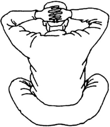 Иллюстрация к книге — Цигун для начинающих [i_034.jpg]