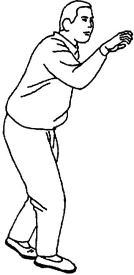 Иллюстрация к книге — Цигун для начинающих [i_059.jpg]