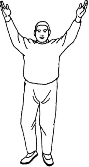 Иллюстрация к книге — Цигун для начинающих [i_063.jpg]