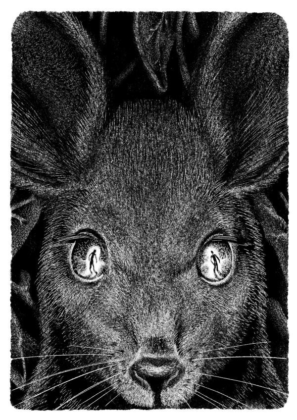 Иллюстрация к книге — Пангапу, или Статуэтка богини Кали [i_012.jpg]