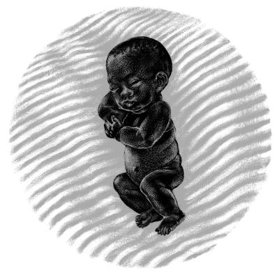 Иллюстрация к книге — Пангапу, или Статуэтка богини Кали [i_023.jpg]