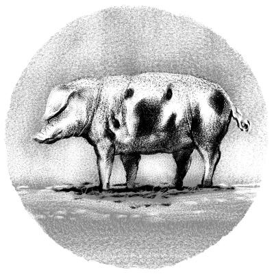 Иллюстрация к книге — Пангапу, или Статуэтка богини Кали [i_025.jpg]