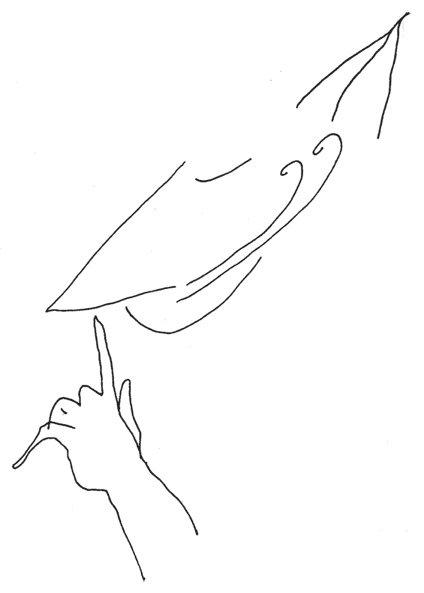 Иллюстрация к книге — Не первое лирическое отступление от правил [i_025.jpg]