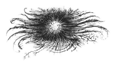 Иллюстрация к книге — Путешествие в полночь [i_004.jpg]