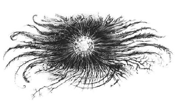 Иллюстрация к книге — Путешествие в полночь [i_023.jpg]