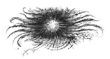 Иллюстрация к книге — Путешествие в полночь [i_031.jpg]