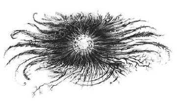 Иллюстрация к книге — Путешествие в полночь [i_035.jpg]