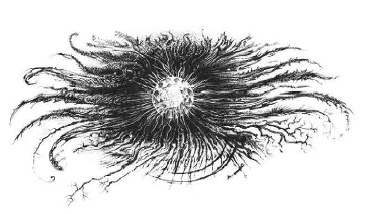 Иллюстрация к книге — Путешествие в полночь [i_039.jpg]