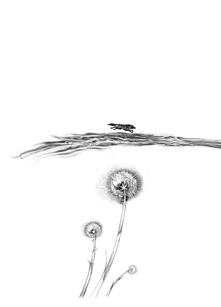 Иллюстрация к книге — Трилунье. Острова Луны [i_002.jpg]