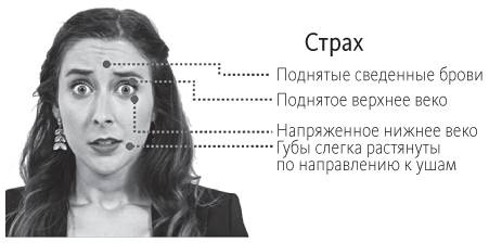 Иллюстрация к книге — Наука общения. Как читать эмоции, понимать намерения и находить общий язык с людьми [i_054.jpg]