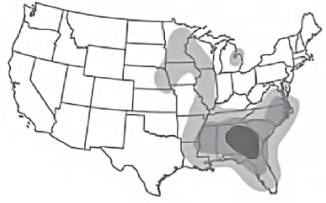 Иллюстрация к книге — Наука общения. Как читать эмоции, понимать намерения и находить общий язык с людьми [i_079.jpg]