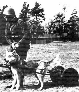 Иллюстрация к книге — Польская армия. 1939-1945 [i_010.jpg]