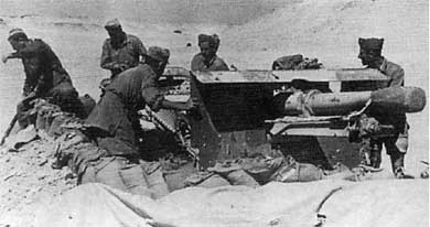 Иллюстрация к книге — Итальянская армия. 1940 - 1943. Африканский театр военных действий [i_012.jpg]