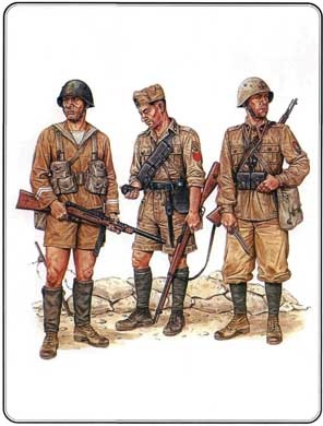 Иллюстрация к книге — Итальянская армия. 1940 - 1943. Африканский театр военных действий [i_032.jpg]