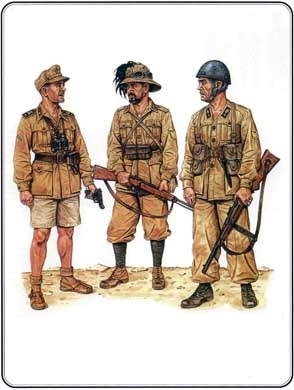 Иллюстрация к книге — Итальянская армия. 1940 - 1943. Африканский театр военных действий [i_034.jpg]