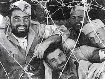 Иллюстрация к книге — Итальянская армия. 1940 - 1943. Африканский театр военных действий [i_044.jpg]