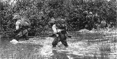 Иллюстрация к книге — Японская армия. 1942-1945 [i_003.jpg]