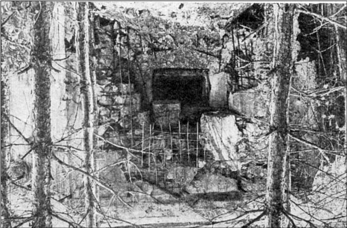 Иллюстрация к книге — Все укрепрайоны и оборонительные линии Второй Мировой [i_036.jpg]