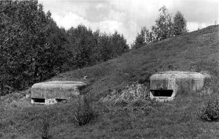 Иллюстрация к книге — Все укрепрайоны и оборонительные линии Второй Мировой [i_064.jpg]