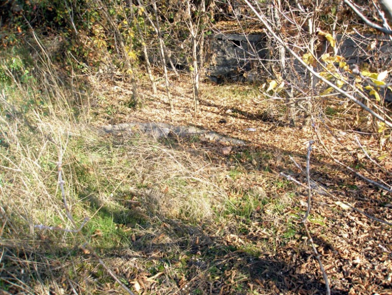 Иллюстрация к книге — Вице-адмирал Чухнин [i_046.jpg]