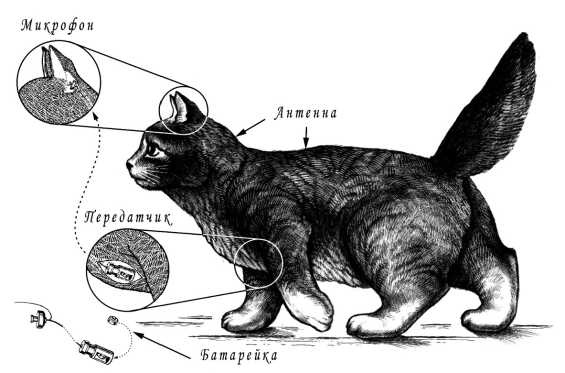 Иллюстрация к книге — Шпионский арсенал. История оперативной техники спецслужб [image186.jpg]