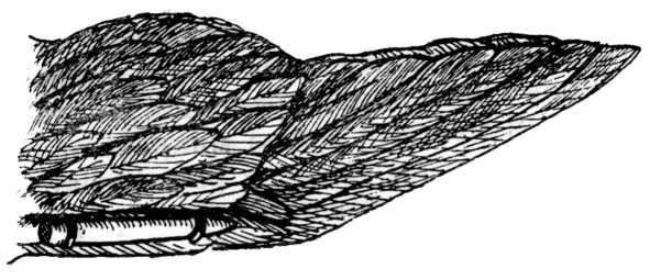 Иллюстрация к книге — Шпионский арсенал. История оперативной техники спецслужб [image9.jpg]