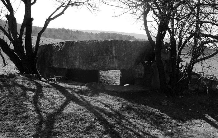 Иллюстрация к книге — Первый штурм Севастополя. Ноябрь 41-го [i_024.jpg]