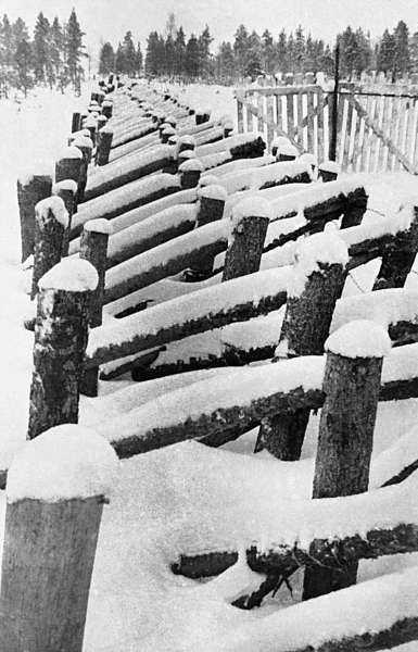 Иллюстрация к книге — Зимняя война: «Ломят танки широкие просеки» [block_001320_page_209_image_0001.jpg]