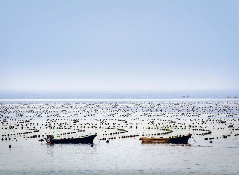 Иллюстрация к книге — Белый медведь в стране драконов [_010_011.jpg]