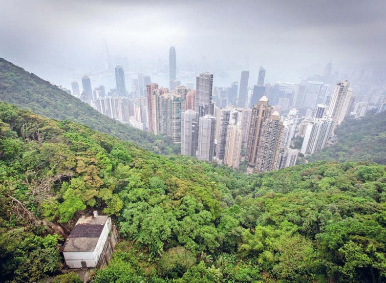 Иллюстрация к книге — Белый медведь в стране драконов [_013.jpg]