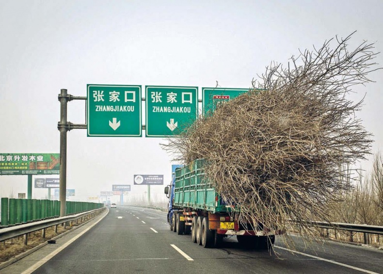 Иллюстрация к книге — Белый медведь в стране драконов [_086.jpg]