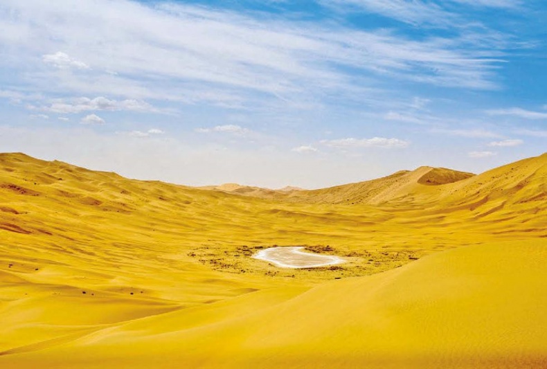 Иллюстрация к книге — Белый медведь в стране драконов [_103.jpg]